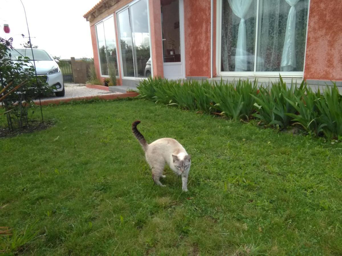 Willa Bleu Du Sud Rigarda Zewnętrze zdjęcie